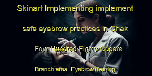 Skinart Implementing implement safe eyebrow practices in Chak Four Hundred Eighty Gugera Branch area | EyebrowTraining | EyebrowClasses | SkinartTraining-Pakistan