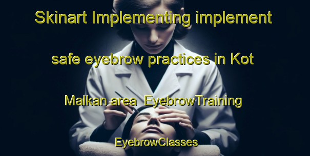 Skinart Implementing implement safe eyebrow practices in Kot Malkan area | EyebrowTraining | EyebrowClasses | SkinartTraining-Pakistan