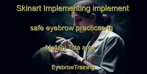 Skinart Implementing implement safe eyebrow practices in Mallahi Tola area | EyebrowTraining | EyebrowClasses | SkinartTraining-Pakistan
