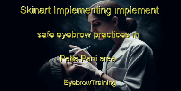 Skinart Implementing implement safe eyebrow practices in Patla Pani area | EyebrowTraining | EyebrowClasses | SkinartTraining-Pakistan