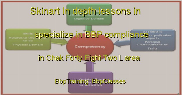 Skinart In-depth lessons in specialize in BBP compliance in Chak Forty Eight Two L area | BbpTraining | BbpClasses | SkinartTraining-Pakistan