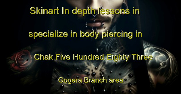 Skinart In-depth lessons in specialize in body piercing in Chak Five Hundred Eighty Three Gogera Branch area | PiercingTraining | PiercingClasses | SkinartTraining-Pakistan