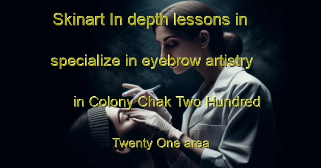 Skinart In-depth lessons in specialize in eyebrow artistry in Colony Chak Two Hundred Twenty One area | EyebrowTraining | EyebrowClasses | SkinartTraining-Pakistan