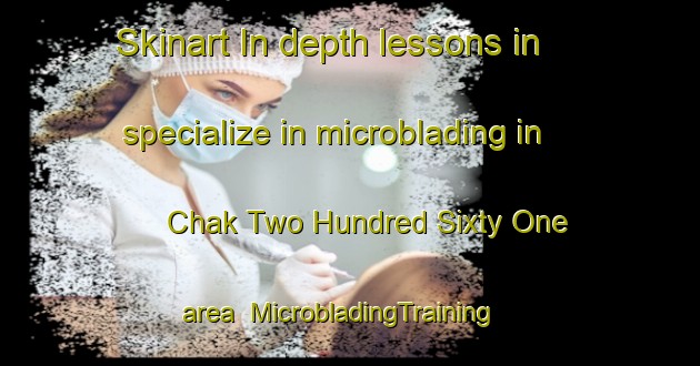Skinart In-depth lessons in specialize in microblading in Chak Two Hundred Sixty One area | MicrobladingTraining | MicrobladingClasses | SkinartTraining-Pakistan