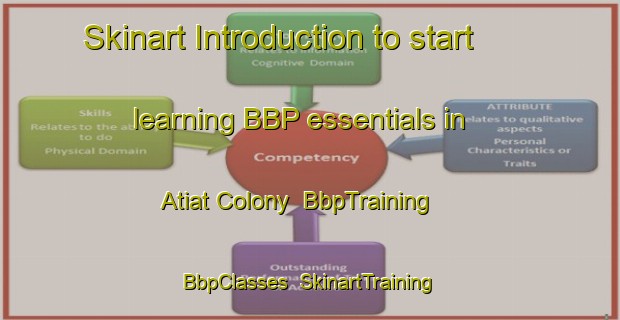 Skinart Introduction to start learning BBP essentials in Atiat Colony | BbpTraining | BbpClasses | SkinartTraining-Pakistan