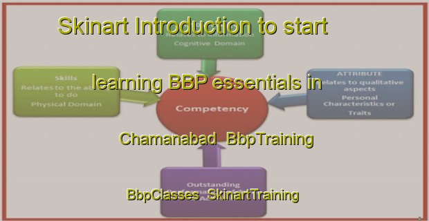 Skinart Introduction to start learning BBP essentials in Chamanabad | BbpTraining | BbpClasses | SkinartTraining-Pakistan