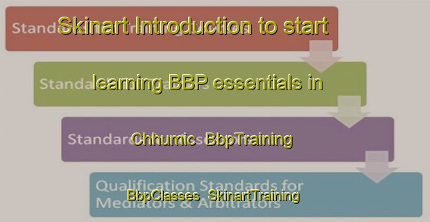 Skinart Introduction to start learning BBP essentials in Chhumic | BbpTraining | BbpClasses | SkinartTraining-Pakistan