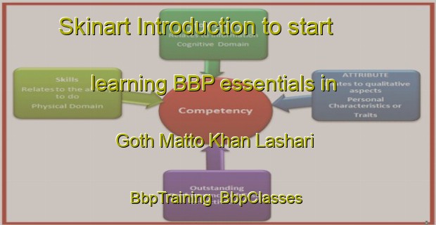 Skinart Introduction to start learning BBP essentials in Goth Matto Khan Lashari | BbpTraining | BbpClasses | SkinartTraining-Pakistan