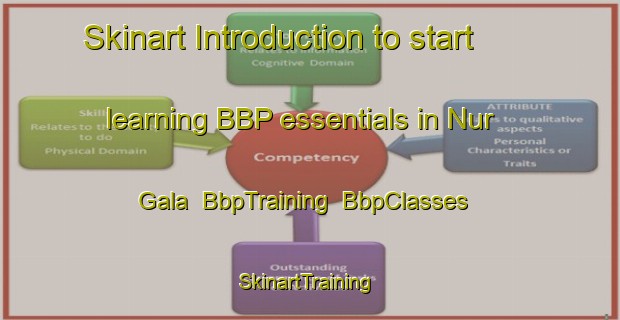 Skinart Introduction to start learning BBP essentials in Nur Gala | BbpTraining | BbpClasses | SkinartTraining-Pakistan