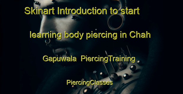 Skinart Introduction to start learning body piercing in Chah Gapuwala | PiercingTraining | PiercingClasses | SkinartTraining-Pakistan