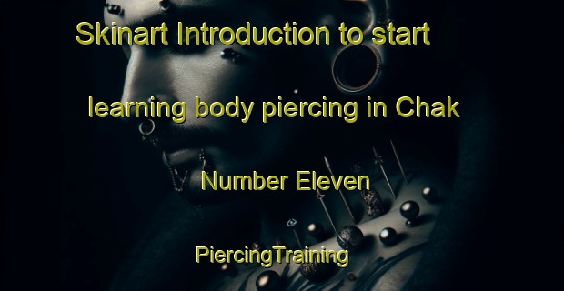 Skinart Introduction to start learning body piercing in Chak Number Eleven | PiercingTraining | PiercingClasses | SkinartTraining-Pakistan