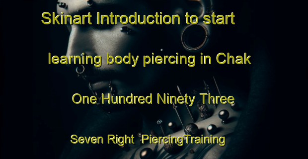 Skinart Introduction to start learning body piercing in Chak One Hundred Ninety Three   Seven Right | PiercingTraining | PiercingClasses | SkinartTraining-Pakistan