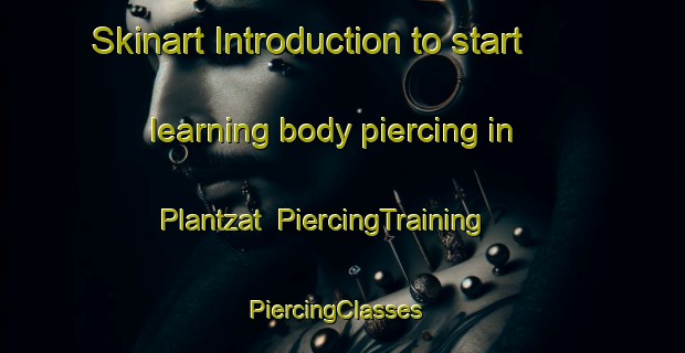 Skinart Introduction to start learning body piercing in Plantzat | PiercingTraining | PiercingClasses | SkinartTraining-Pakistan