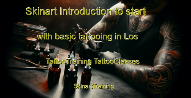 Skinart Introduction to start with basic tattooing in Los | #TattooTraining #TattooClasses #SkinartTraining-Pakistan