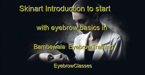 Skinart Introduction to start with eyebrow basics in Bambewala | EyebrowTraining | EyebrowClasses | SkinartTraining-Pakistan