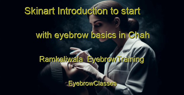 Skinart Introduction to start with eyebrow basics in Chah Ramkaliwala | EyebrowTraining | EyebrowClasses | SkinartTraining-Pakistan