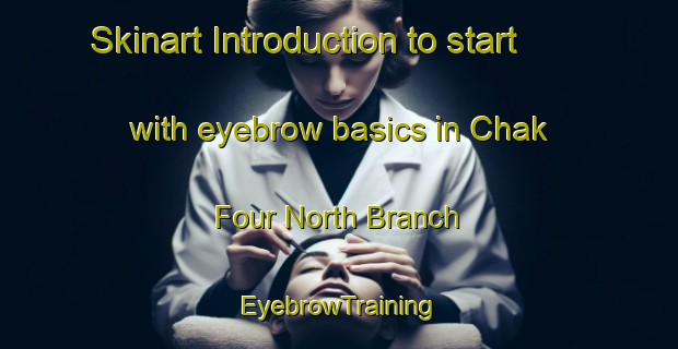 Skinart Introduction to start with eyebrow basics in Chak Four North Branch | EyebrowTraining | EyebrowClasses | SkinartTraining-Pakistan