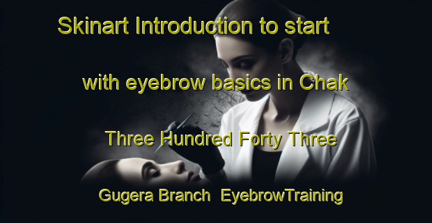 Skinart Introduction to start with eyebrow basics in Chak Three Hundred Forty Three Gugera Branch | EyebrowTraining | EyebrowClasses | SkinartTraining-Pakistan