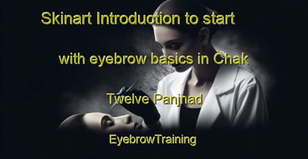 Skinart Introduction to start with eyebrow basics in Chak Twelve Panjnad | EyebrowTraining | EyebrowClasses | SkinartTraining-Pakistan