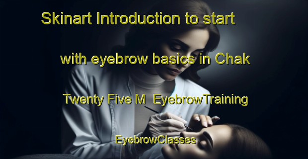 Skinart Introduction to start with eyebrow basics in Chak Twenty Five M | EyebrowTraining | EyebrowClasses | SkinartTraining-Pakistan