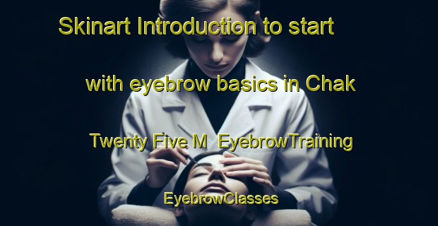 Skinart Introduction to start with eyebrow basics in Chak Twenty Five M | EyebrowTraining | EyebrowClasses | SkinartTraining-Pakistan