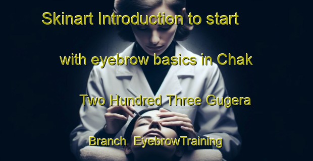 Skinart Introduction to start with eyebrow basics in Chak Two Hundred Three Gugera Branch | EyebrowTraining | EyebrowClasses | SkinartTraining-Pakistan