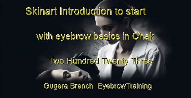 Skinart Introduction to start with eyebrow basics in Chak Two Hundred Twenty Three Gugera Branch | EyebrowTraining | EyebrowClasses | SkinartTraining-Pakistan