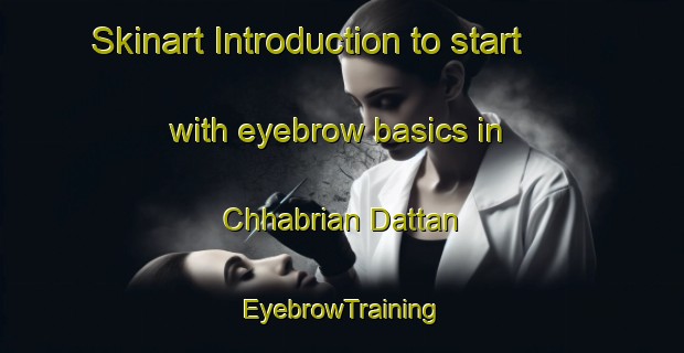 Skinart Introduction to start with eyebrow basics in Chhabrian Dattan | EyebrowTraining | EyebrowClasses | SkinartTraining-Pakistan