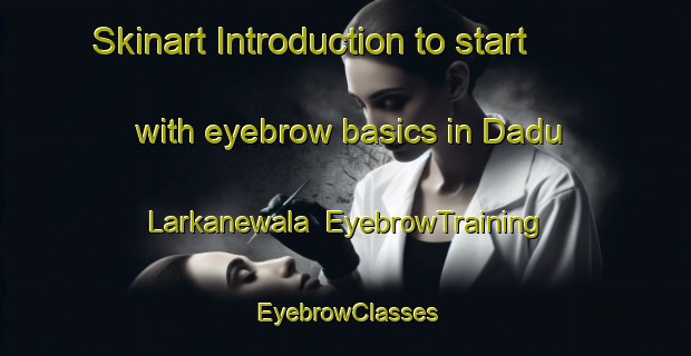 Skinart Introduction to start with eyebrow basics in Dadu Larkanewala | EyebrowTraining | EyebrowClasses | SkinartTraining-Pakistan