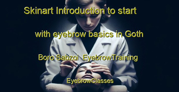 Skinart Introduction to start with eyebrow basics in Goth Boro Sabzoi | EyebrowTraining | EyebrowClasses | SkinartTraining-Pakistan