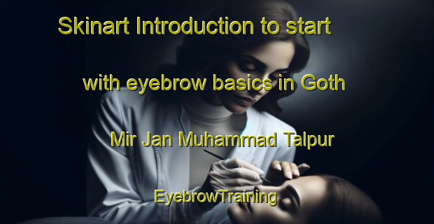 Skinart Introduction to start with eyebrow basics in Goth Mir Jan Muhammad Talpur | EyebrowTraining | EyebrowClasses | SkinartTraining-Pakistan