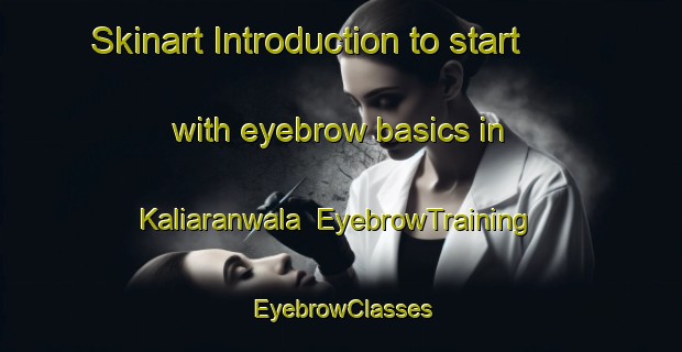 Skinart Introduction to start with eyebrow basics in Kaliaranwala | EyebrowTraining | EyebrowClasses | SkinartTraining-Pakistan
