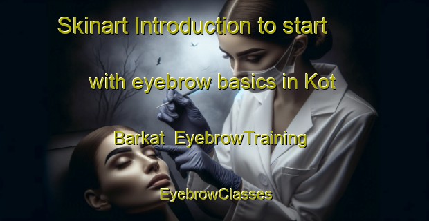 Skinart Introduction to start with eyebrow basics in Kot Barkat | EyebrowTraining | EyebrowClasses | SkinartTraining-Pakistan