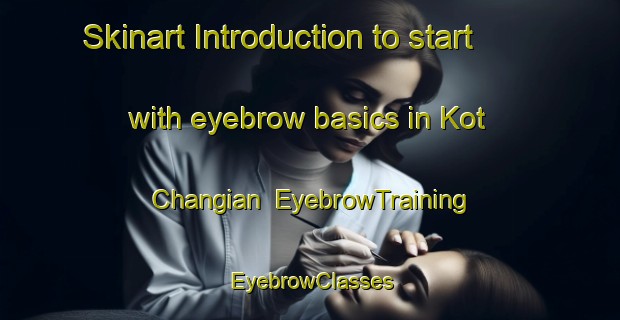 Skinart Introduction to start with eyebrow basics in Kot Changian | EyebrowTraining | EyebrowClasses | SkinartTraining-Pakistan