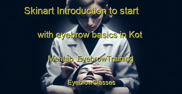 Skinart Introduction to start with eyebrow basics in Kot Mehtab | EyebrowTraining | EyebrowClasses | SkinartTraining-Pakistan
