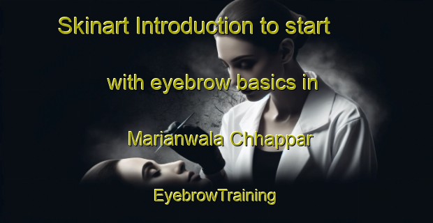 Skinart Introduction to start with eyebrow basics in Marianwala Chhappar | EyebrowTraining | EyebrowClasses | SkinartTraining-Pakistan