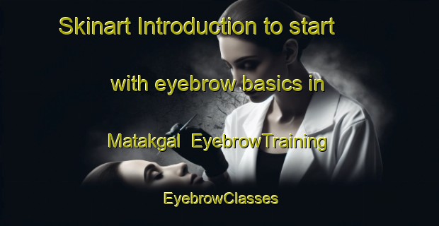 Skinart Introduction to start with eyebrow basics in Matakgal | EyebrowTraining | EyebrowClasses | SkinartTraining-Pakistan