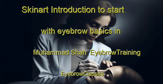 Skinart Introduction to start with eyebrow basics in Muhammad Shah | EyebrowTraining | EyebrowClasses | SkinartTraining-Pakistan
