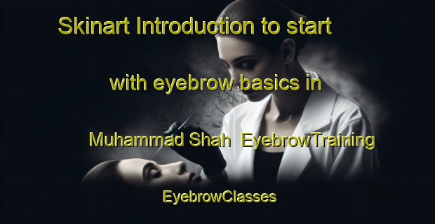 Skinart Introduction to start with eyebrow basics in Muhammad Shah | EyebrowTraining | EyebrowClasses | SkinartTraining-Pakistan