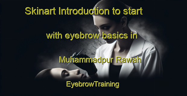 Skinart Introduction to start with eyebrow basics in Muhammadpur Rawah | EyebrowTraining | EyebrowClasses | SkinartTraining-Pakistan