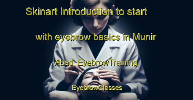 Skinart Introduction to start with eyebrow basics in Munir Abad | EyebrowTraining | EyebrowClasses | SkinartTraining-Pakistan