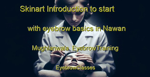 Skinart Introduction to start with eyebrow basics in Nawan Mughlanwala | EyebrowTraining | EyebrowClasses | SkinartTraining-Pakistan