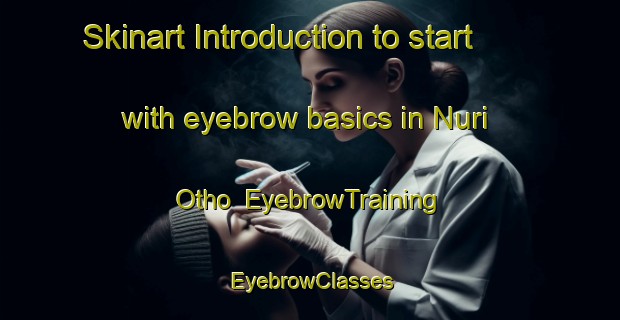 Skinart Introduction to start with eyebrow basics in Nuri Otho | EyebrowTraining | EyebrowClasses | SkinartTraining-Pakistan
