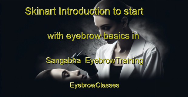 Skinart Introduction to start with eyebrow basics in Sangabha | EyebrowTraining | EyebrowClasses | SkinartTraining-Pakistan