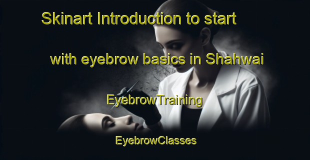Skinart Introduction to start with eyebrow basics in Shahwai | EyebrowTraining | EyebrowClasses | SkinartTraining-Pakistan