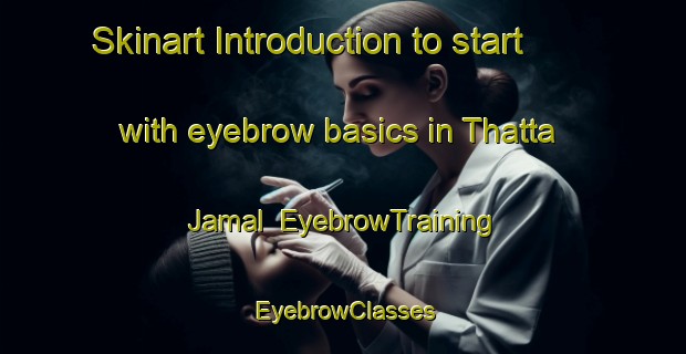 Skinart Introduction to start with eyebrow basics in Thatta Jamal | EyebrowTraining | EyebrowClasses | SkinartTraining-Pakistan