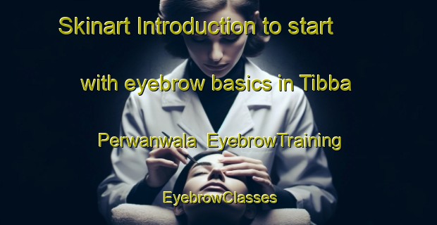 Skinart Introduction to start with eyebrow basics in Tibba Perwanwala | EyebrowTraining | EyebrowClasses | SkinartTraining-Pakistan