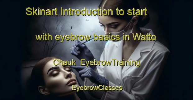 Skinart Introduction to start with eyebrow basics in Watto Chauk | EyebrowTraining | EyebrowClasses | SkinartTraining-Pakistan