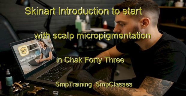 Skinart Introduction to start with scalp micropigmentation in Chak Forty Three | SmpTraining | SmpClasses | SkinartTraining-Pakistan