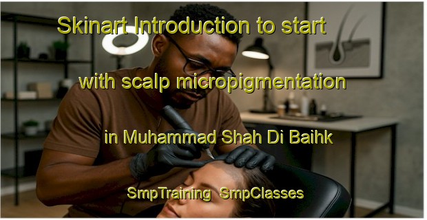 Skinart Introduction to start with scalp micropigmentation in Muhammad Shah Di Baihk | SmpTraining | SmpClasses | SkinartTraining-Pakistan